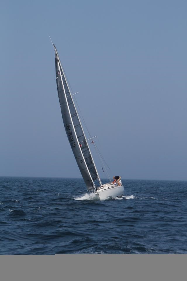 Imagen 9
